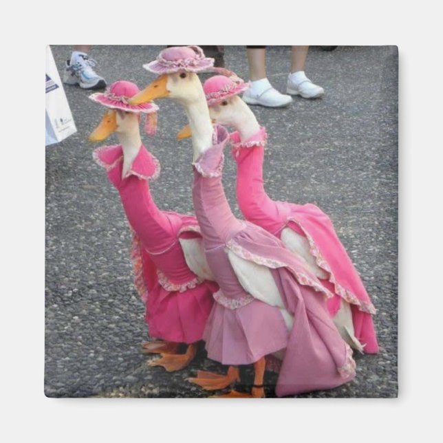 Gänseschwestern Magnet (Vorne)