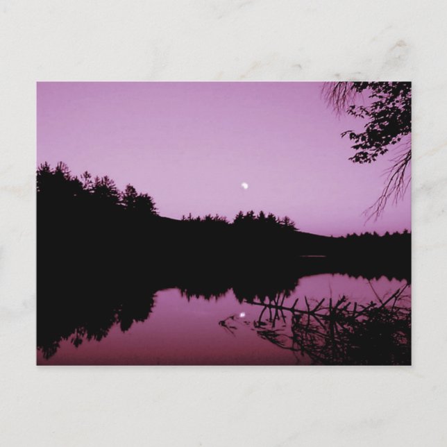 Gänseteich im Abend Postkarte (Vorderseite)