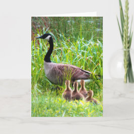 Gänseüberquerung Karte