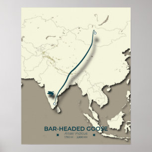 Gänsewanderungsplan mit Bar - Minimalistisch Poster
