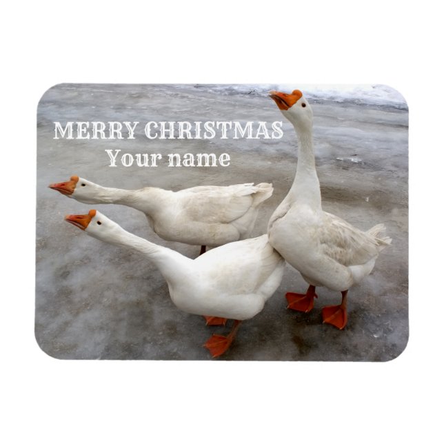 Gänseweiß Magnet (Horizontal)