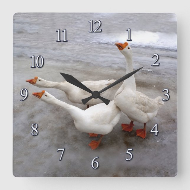 Gänseweiß Quadratische Wanduhr (Vorderseite)