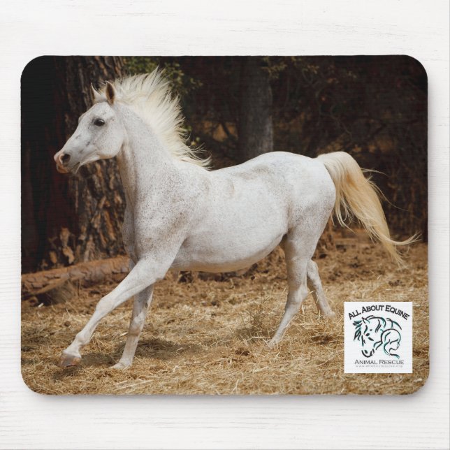 Ganz über pferdeartiges Mousepad, das Ziggy Mousepad (Vorne)
