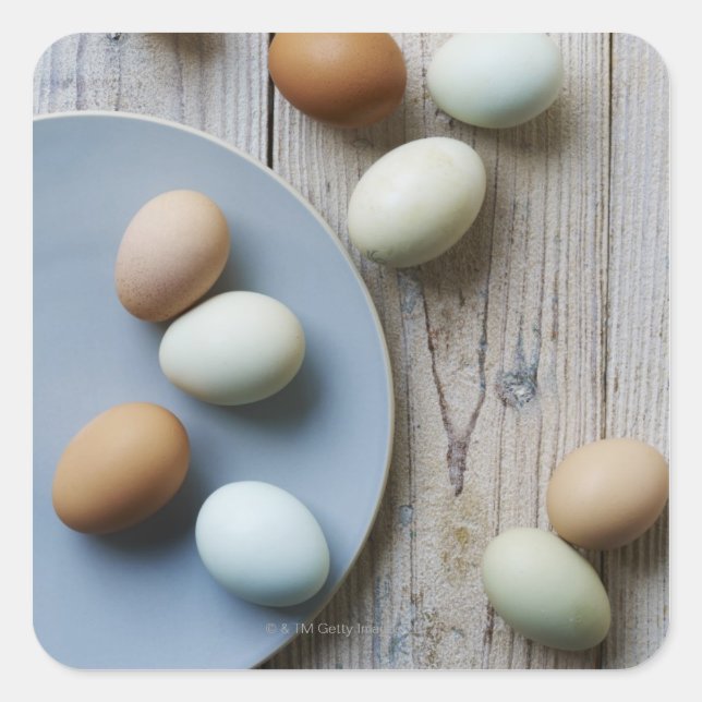 ganze Eier Quadratischer Aufkleber (Vorderseite)