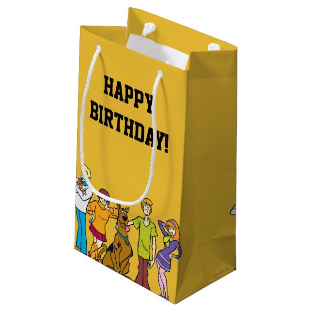 Ganze Gang 14 Mystery Inc. Kleine Geschenktüte (Rückseite Schrägansicht)