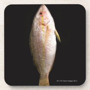 Ganzer Wolfsbarsch Untersetzer