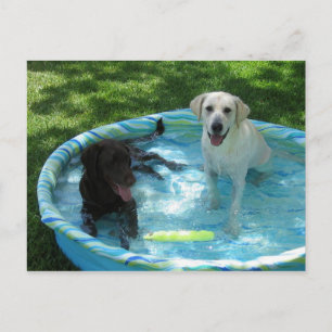 Garçons de la carte postale été