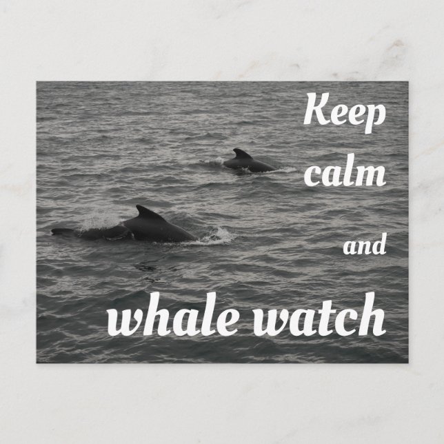 Garde calme et baleine surveillance Carte postale (Devant)