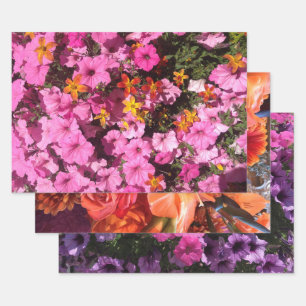 Garden Blume Pinacoteca comunale Casa Serodine Mam Geschenkpapier Set