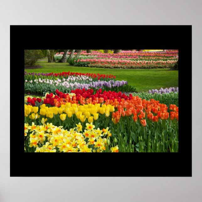 Garden Blume Poster (Vorne)