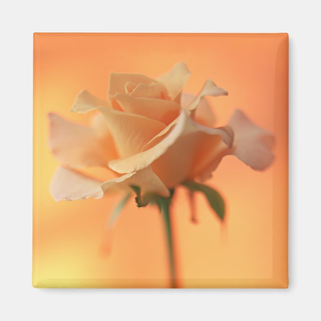 Garden Bounty 5 Magnet (Vorne)