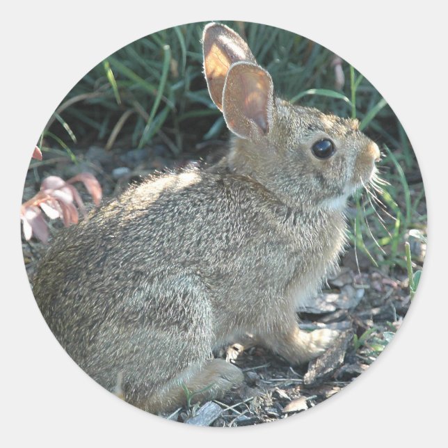 Garden Bunny Runder Aufkleber (Vorderseite)