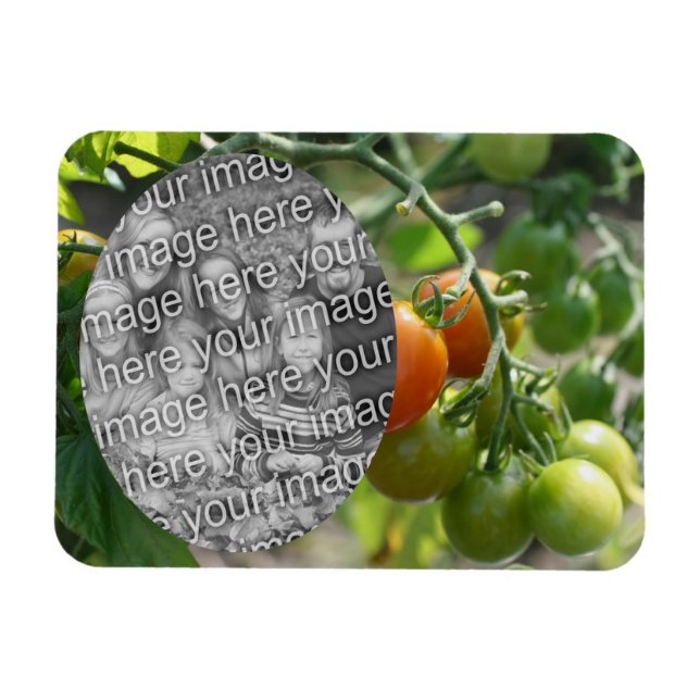 Garden Cherry Tomaten Fügen Sie Ihr Foto Magnet (Horizontal)