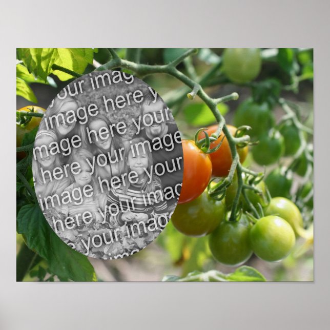 Garden Cherry Tomaten Fügen Sie Ihr Foto Poster (Vorne)
