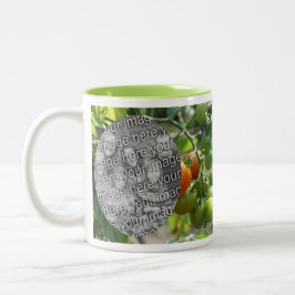 Garden Cherry Tomaten Fügen Sie Ihr Foto Zweifarbige Tasse