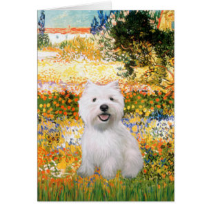 Garden Fiorito - Westie 2