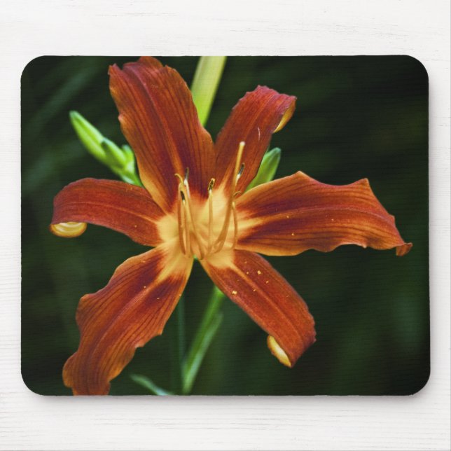 Garden Flame Mousepad (Vorne)