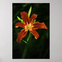 Garden Flame Print Poster
