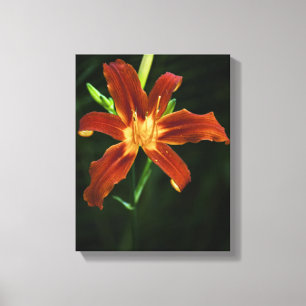 Garden Flame Wrapped Canvas Leinwanddruck