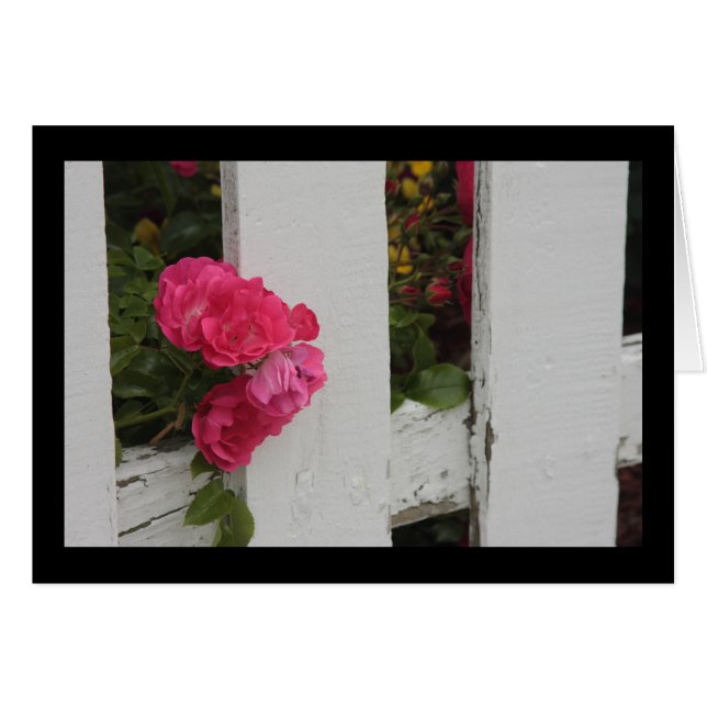 Garden Gate (Vorderseite (Horizontal))