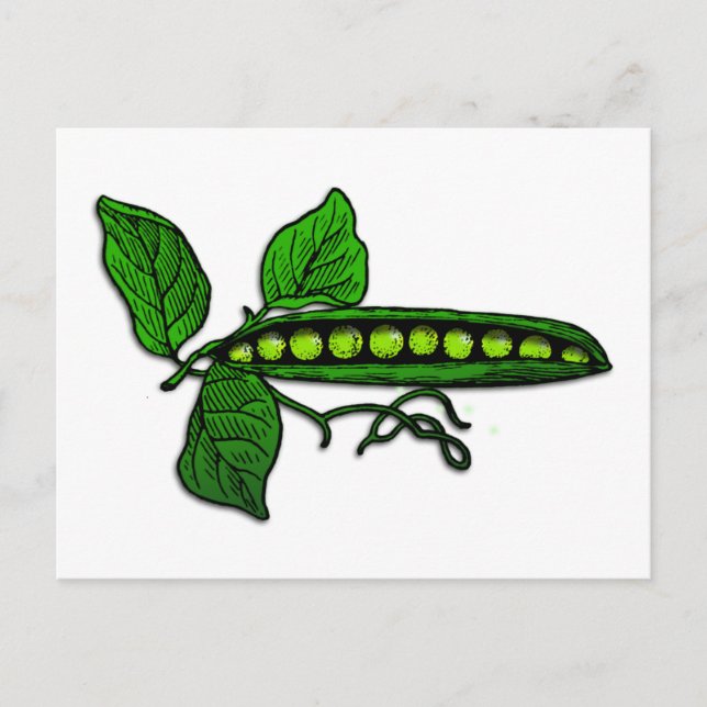 Garden Green Pea Pods Postkarte (Vorderseite)