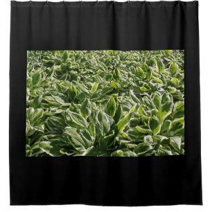 Garden Green White Hosta Pflanze Blätter Foto Blac Duschvorhang