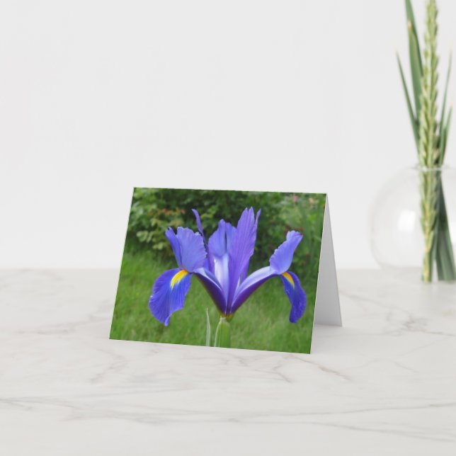 Garden Iris Note Card Karte (Vorderseite)