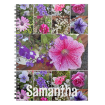 Garden Journal Pink Petunia Hübsch Frühlingsblumen