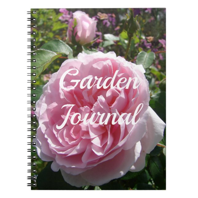 Garden Journal Pink Rose Blume Notizblock (Vorderseite)