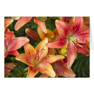 Garden Lilies Card