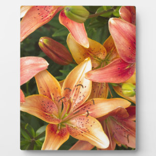 Garden Lilies Fotoplatte