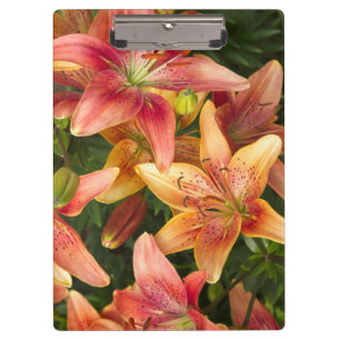 Garden Lilies Klemmbrett