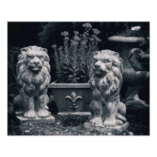 Garden Lions Fotodruck