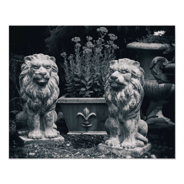 Garden Lions Fotodruck (Vorne)