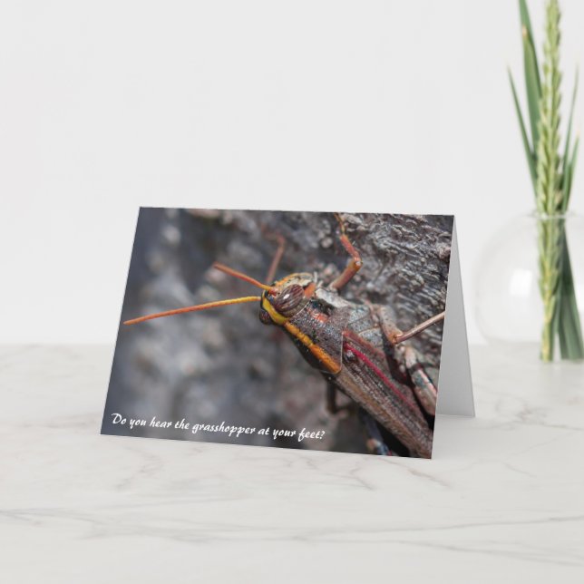 Garden Locust Grasshopper Grußkarte Karte (Vorderseite)