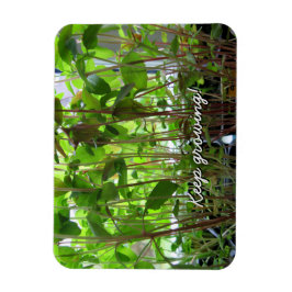 Garden Lover Behaltend Pflanze wachsen Magnet
