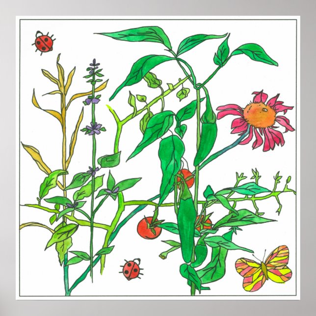 Garden Pflanze Konflower Ladybug Butterfly Poster (Vorne)