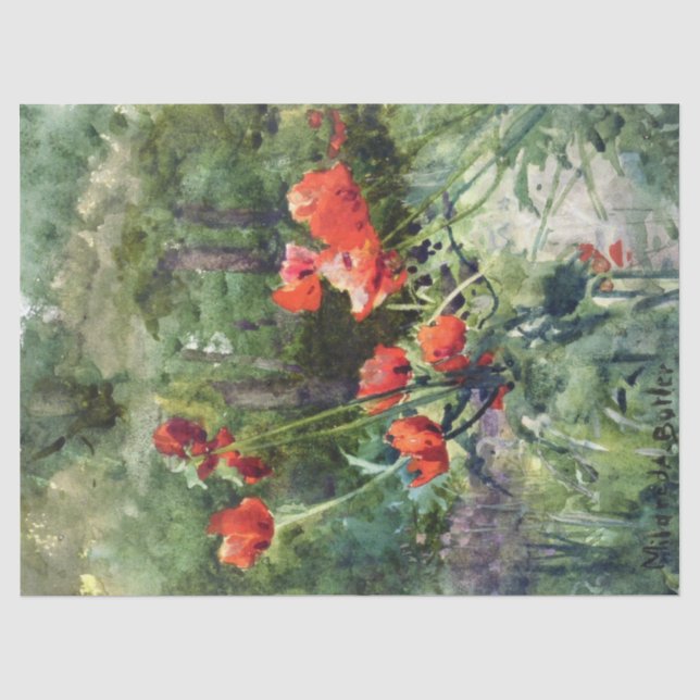 Garden Poppies (von Mildred Anne Butler) Seidenpapier (Vorderseite)