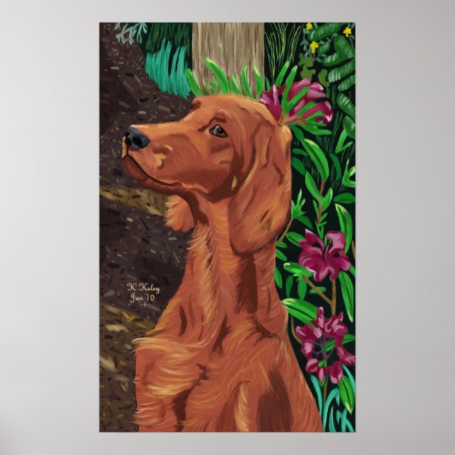 Garden Setter Poster (Vorne)