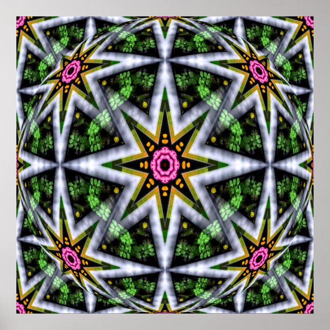 Garden Star Ball... Poster (Vorne)