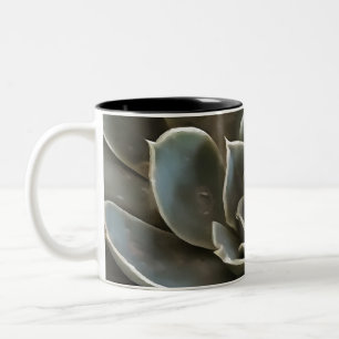 Garden Sukkulare Grüne graue Tones Realistische Ku Zweifarbige Tasse