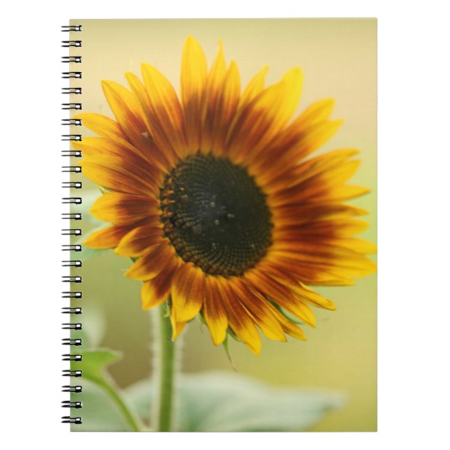 Garden Sunflower Notizblock (Vorderseite)