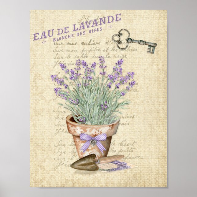 Garden Terracotta Pot French Lavendel Poster (Vorne)