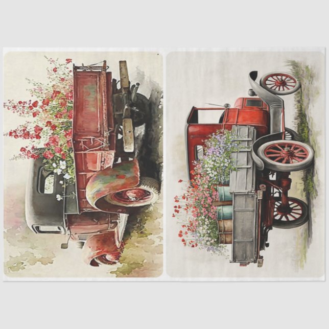 Garden Trucks Seidenpapier (Vorderseite)