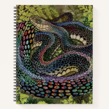 Gardener Snake Study Beyond the Skin