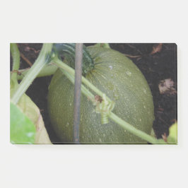 Gardener-Squash Post-it Klebezettel