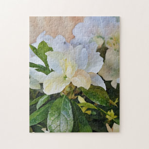 Gardenia Blume Florenz