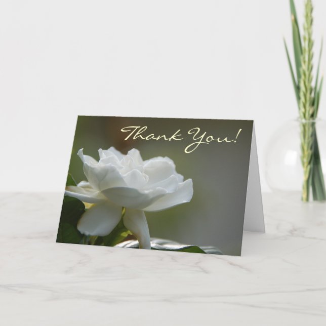 Gardenia danken Ihnen zu kardieren Dankeskarte (Vorderseite)