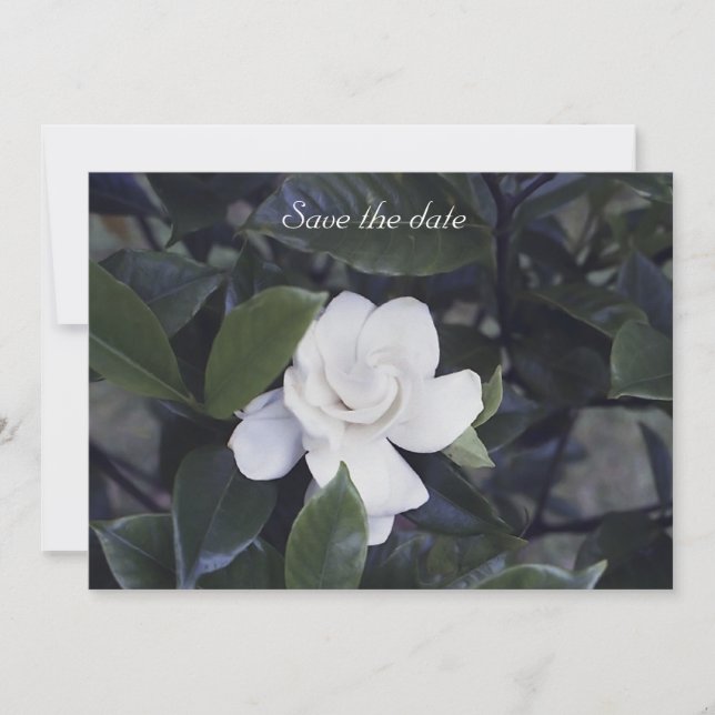 Gardenia Floral Save the Date Card (Vorderseite)
