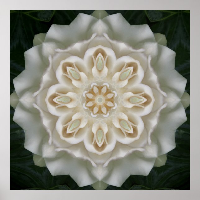 Gardenia Inner Glow Mandala Poster Print (Vorne)